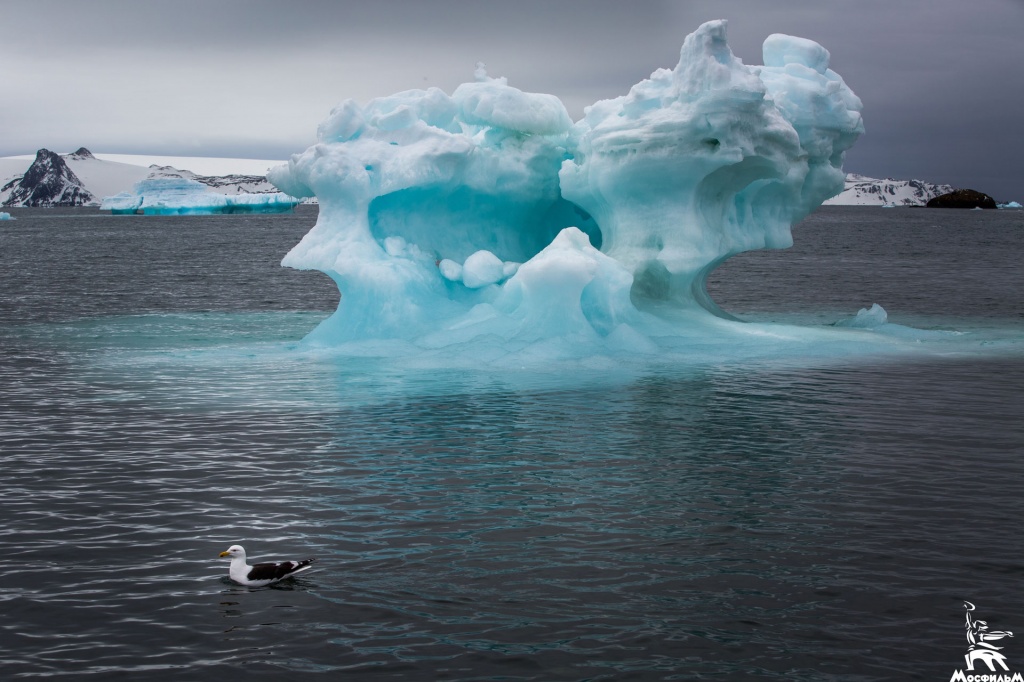 Кадр из фильма, посвященного двухсотлетию открытия Антарктиды
