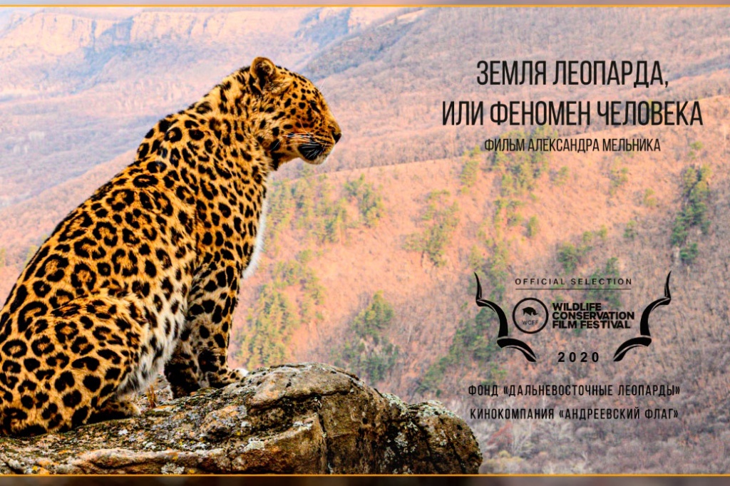 Плакат к фильму «Земля леопарда, или Феномен человека» для кинофестиваля Wildlife Conservation Film Festival в Нью-Йорке